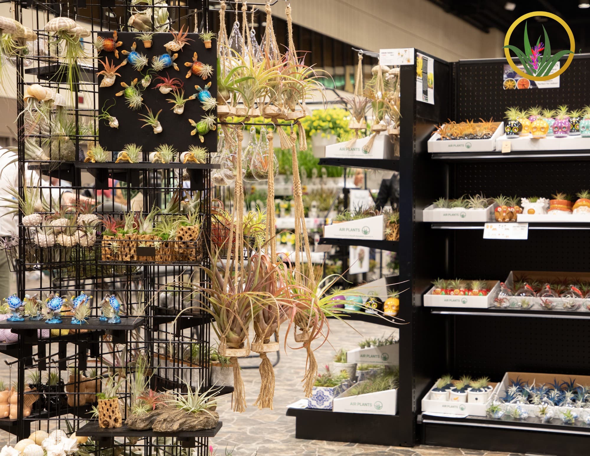 Russell's Bromeliads nursery