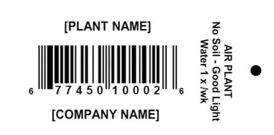 Option 06 tag